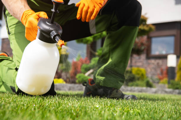 Best Pest Control Treatment  in Gateway, FL