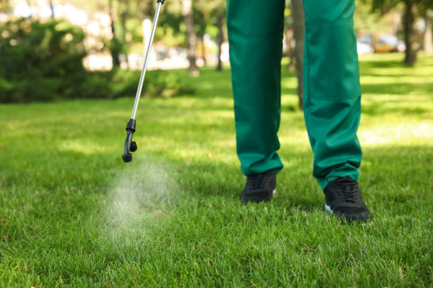 Best Flea Control Services  in Gateway, FL