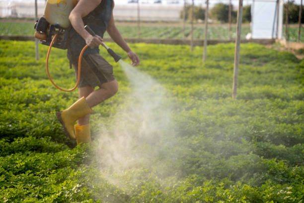 Best Wasp Removal Services  in Gateway, FL