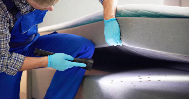 Pest Prevention Services in Gateway, FL