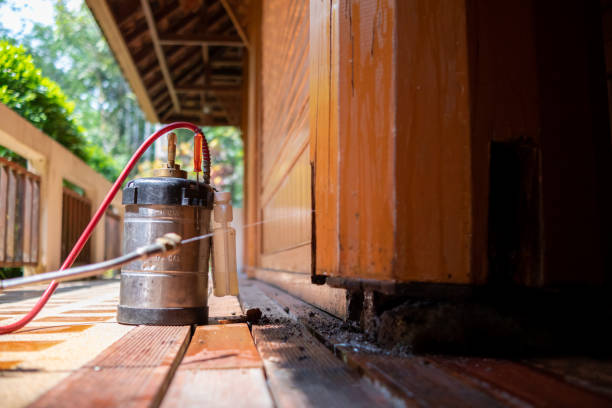 Best Local Pest Control Services  in Gateway, FL