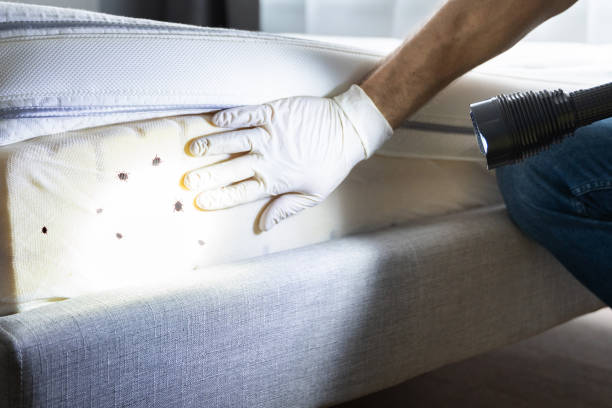Best Flea Control Services  in Gateway, FL