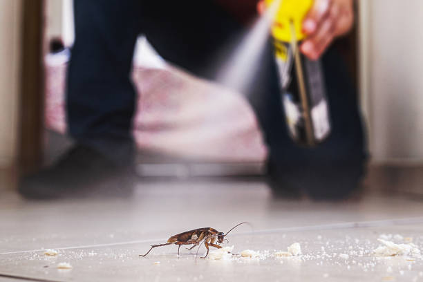 Best Pest Control Near Me in Gateway, FL
