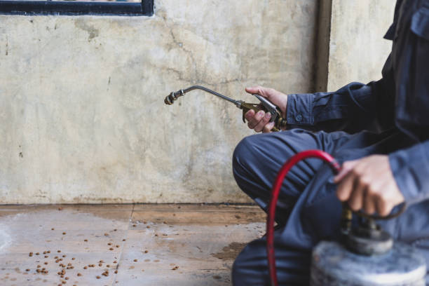 Best Best Pest Control Near Me  in Gateway, FL