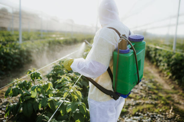 Best Bed Bug Extermination  in Gateway, FL